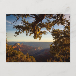 Sunset over Grand Canyon Postcard