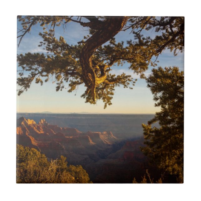 Sunset over Grand Canyon Tile (Front)