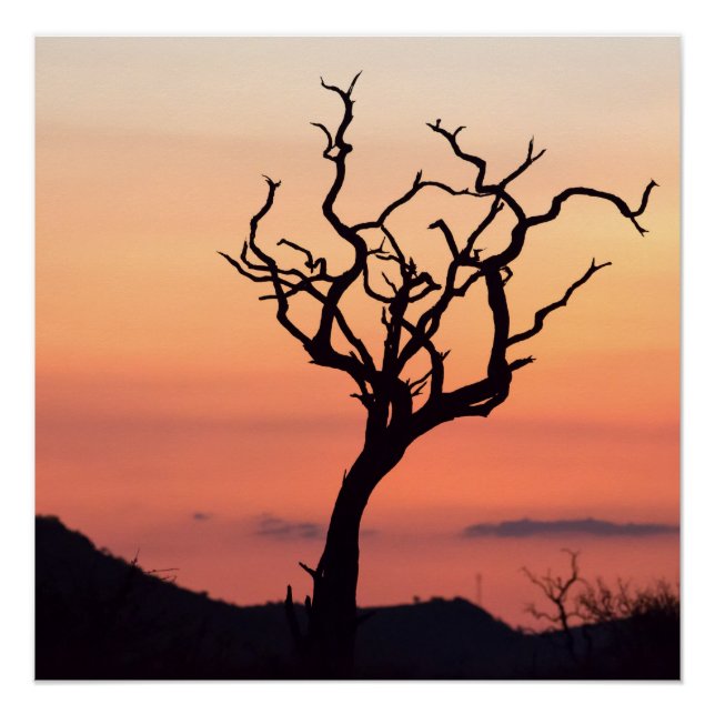 Sunset over Madikwe Poster (Front)