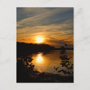 Sunset over Mason Neck State Park Postcard