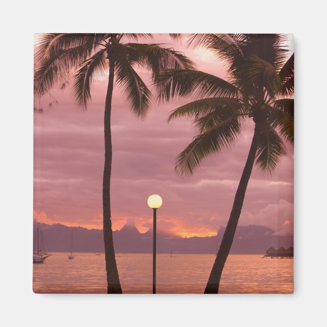 Sunset over Moorea from Sofitel Maeva Beach Magnet (Front)