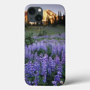 Sunset over Mt. Adams and a sub-alpine meadow iPhone 13 Case