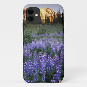 Sunset over Mt. Adams and a sub-alpine meadow iPhone 11 Case
