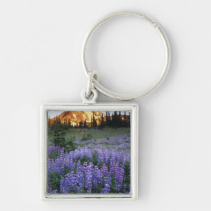 Sunset over Mt. Adams and a sub-alpine meadow Key Ring