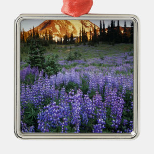 Sunset over Mt. Adams and a sub-alpine meadow Metal Ornament