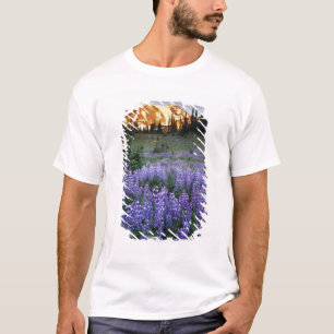 Sunset over Mt. Adams and a sub-alpine meadow T-Shirt