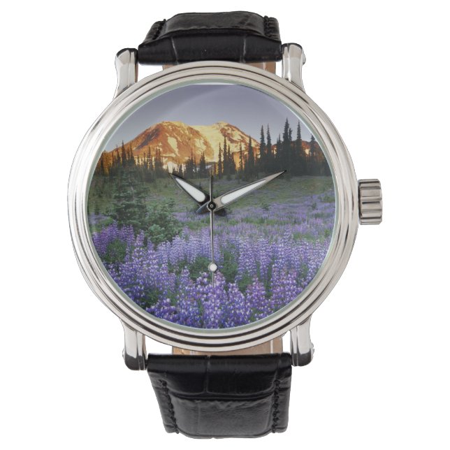 Sunset over Mt. Adams and a sub-alpine meadow Watch (Front)