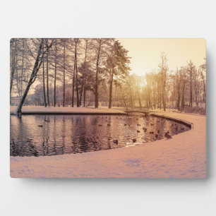 Sunset over park with small frosty lake plaque