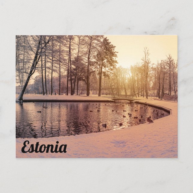 Sunset over park with small frosty lake postcard (Front)