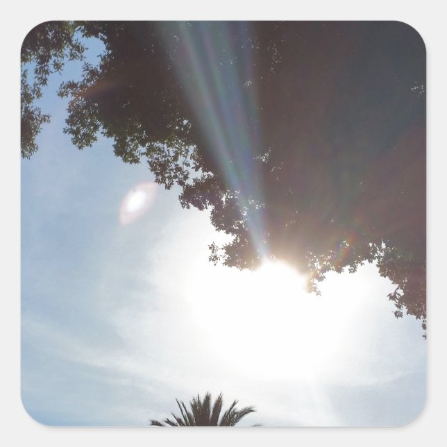sunset over parkland square sticker (Front)