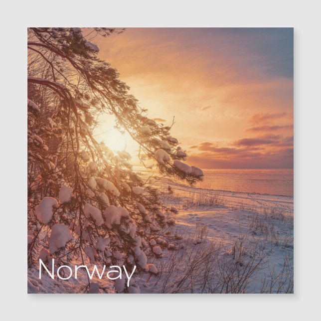 Sunset over sea and snowy pine tree (Front)
