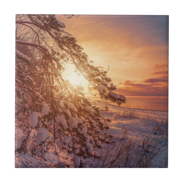 Sunset over sea and snowy pine tree ceramic tile (Front)