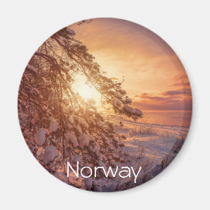 Sunset over sea and snowy pine tree magnet