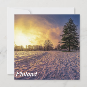 Sunset over snowy winter park