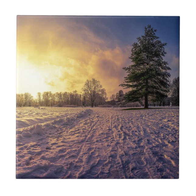 Sunset over snowy winter park ceramic tile (Front)