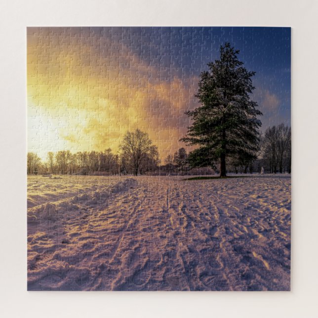 Sunset over snowy winter park jigsaw puzzle (Vertical)