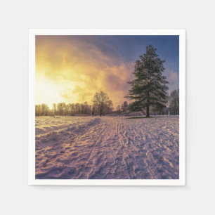Sunset over snowy winter park napkin