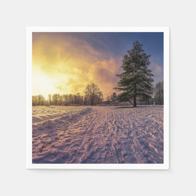 Sunset over snowy winter park napkin (Front)