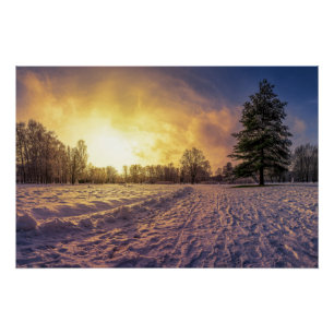 Sunset over snowy winter park poster