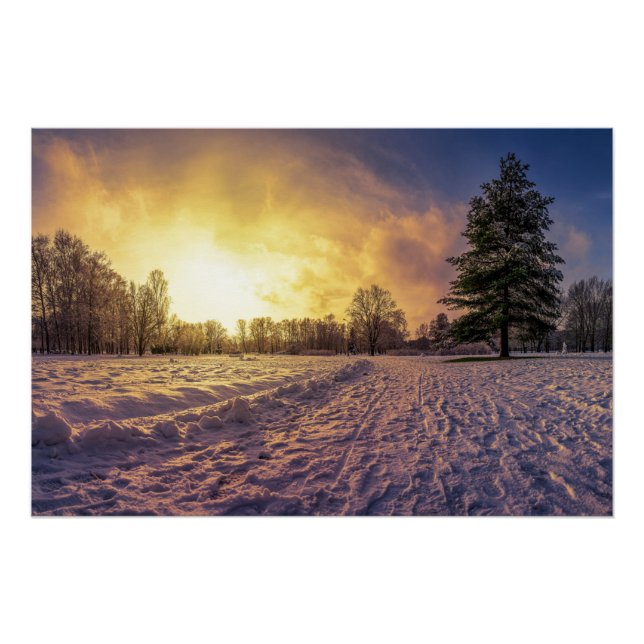 Sunset over snowy winter park poster (Front)