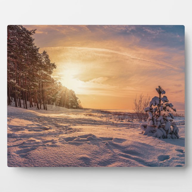 Sunset over snowy winter sea coast plaque (Front)