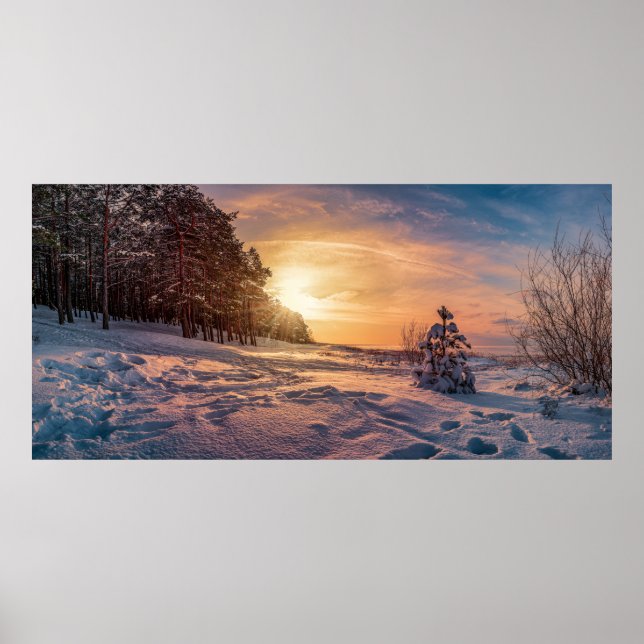 Sunset over snowy winter sea coast poster (Front)