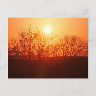 Sunset over the Bayou Postcard