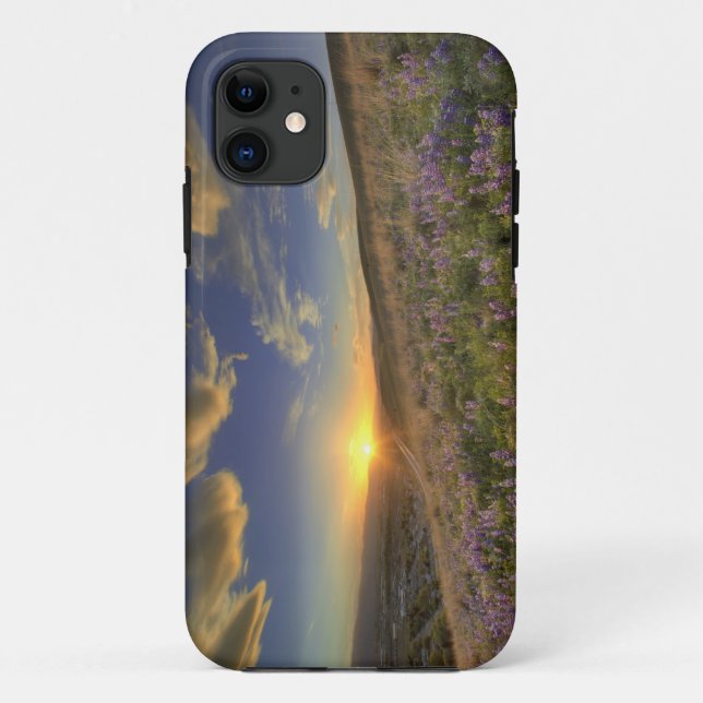 Sunset over the Bitterroot Mountains and vast Case-Mate iPhone Case (Back)