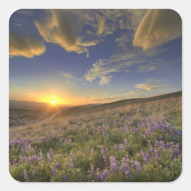 Sunset over the Bitterroot Mountains and vast Square Sticker (Front)