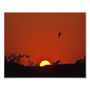 Sunset Over The Marsh Photo Print