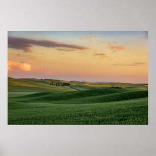 Sunset over Wheat Fields   Washington State Poster