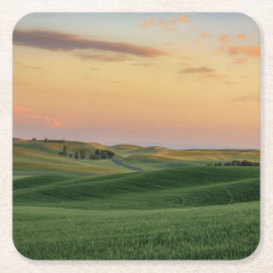 Sunset over Wheat Fields Washington State Square Paper Coaster