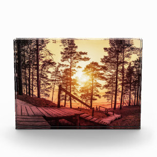 Sunset over wooden path in pine forest photo block