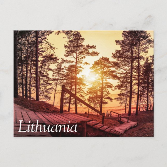 Sunset over wooden path in pine forest postcard (Front)