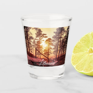 Sunset over wooden path in pine forest shot glass