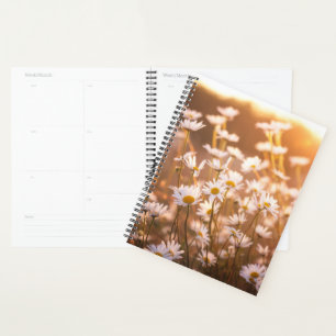 Sunset Oxeye Daisies Planner