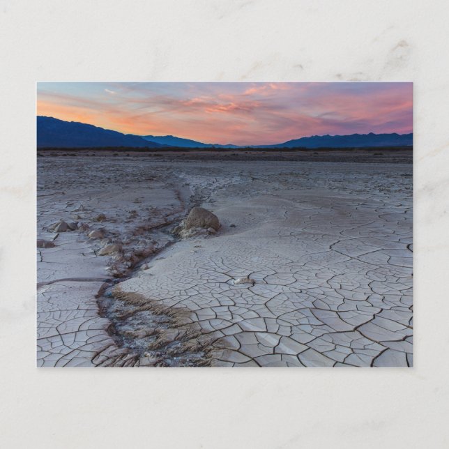 Sunset Palette Postcard (Front)