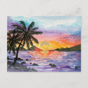Sunset Palm Beach Postcard