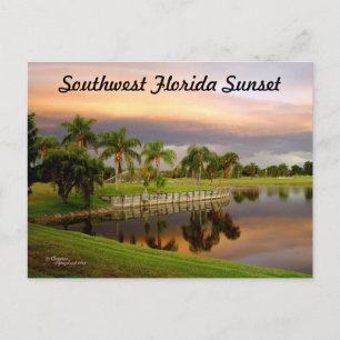 Sunset Palm Lake reflection Florida Postcard