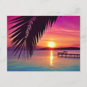 Sunset Palm Postcard