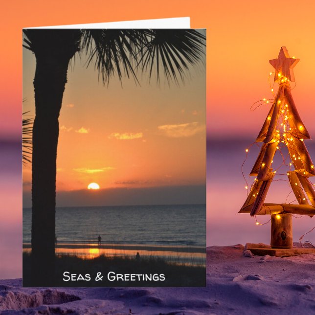 Sunset Palm Tree Silhouette Beach Scene Holiday (Creator Uploaded)