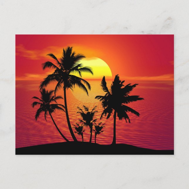 Sunset Palm Trees Silhouette-16514 Postcard (Front)