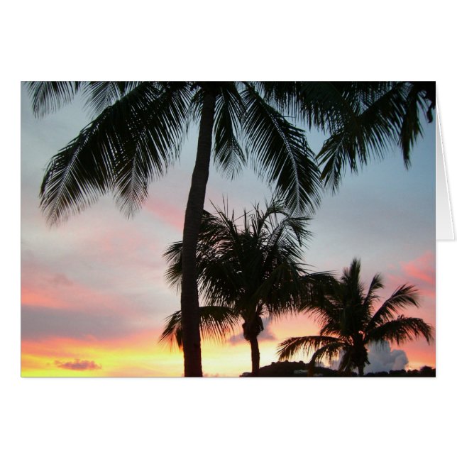 Sunset Palms Tropical Landscape Photography (Front Horizontal)
