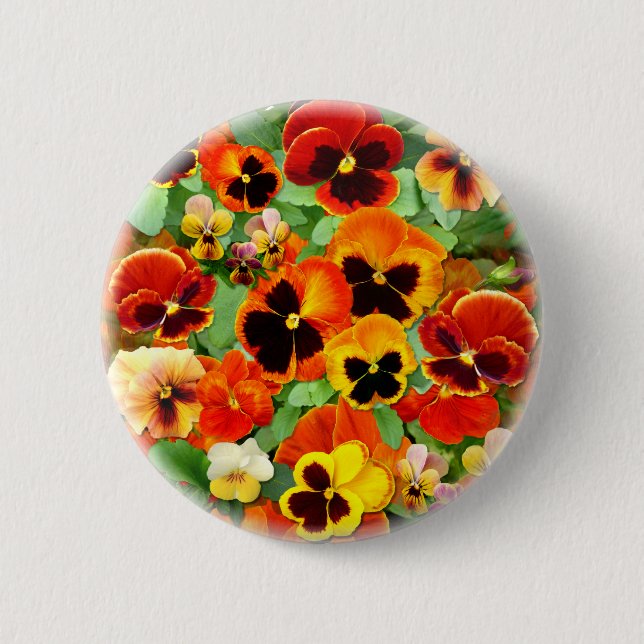 Sunset Pansies 6 Cm Round Badge (Front)