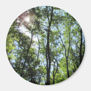 Sunset Peeking through the Trees Photo Magnet