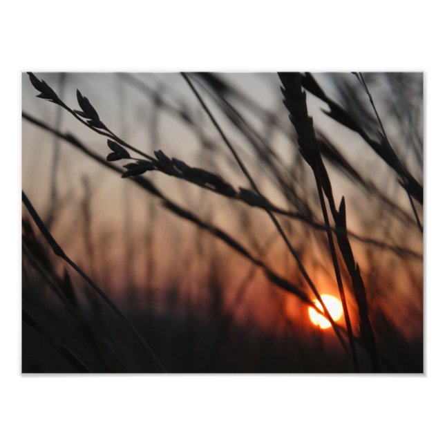 Sunset Photo  Kodak Professional Photo Print (Front)