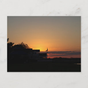 Sunset Photo Postcard