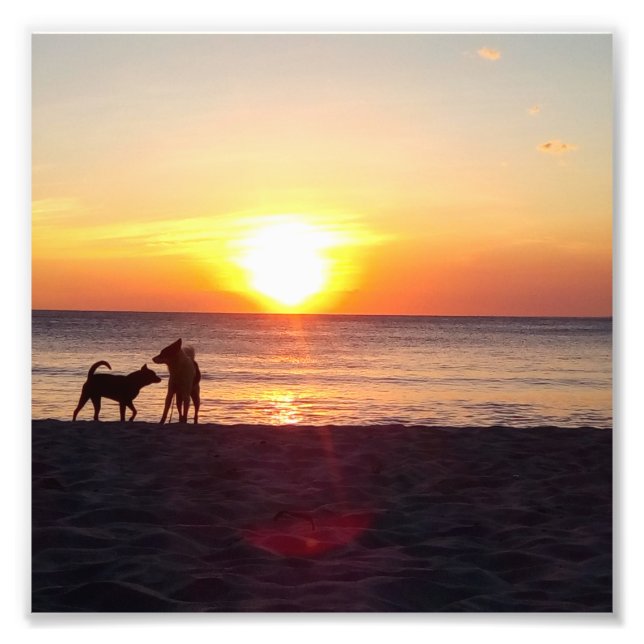 sunset photo print (Front)