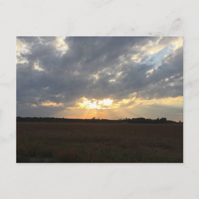 Sunset Postcard (Front)