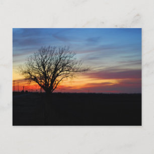Sunset Postcard